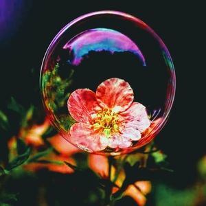 Meet your Posher, Claudia